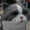 Gato animatrónico realista de tamaño natural, gato encantador que habla interactivo